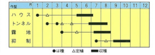 青駒の作型カレンダー