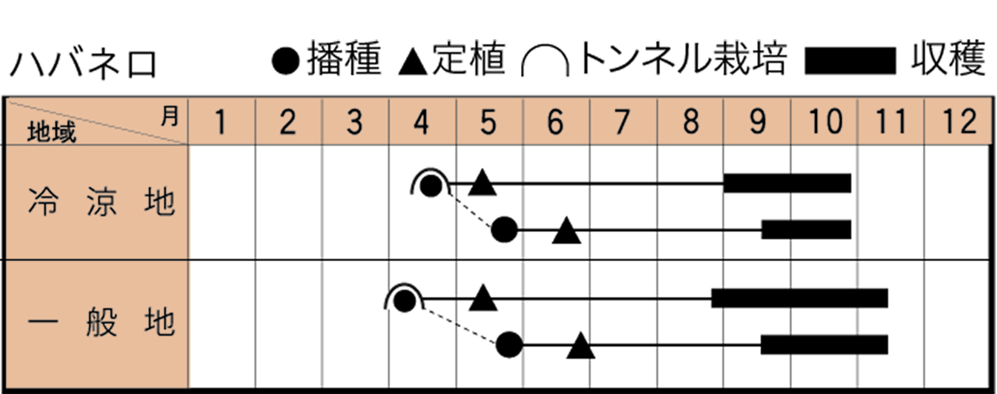 ハバネロレッドの作型カレンダー