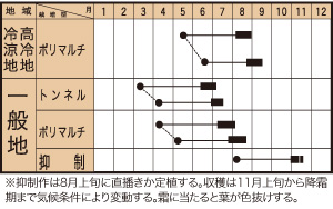 ミルキースイーツ８４ＦＴの作型カレンダー