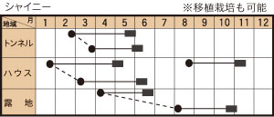シャイニーの作型カレンダー