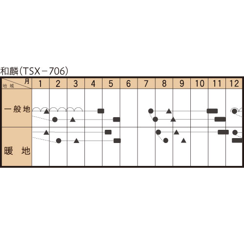 和麟の作型カレンダー