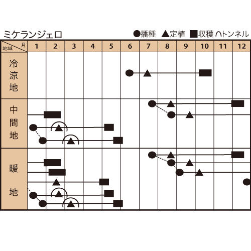 ミケランジェロの作型カレンダー