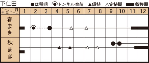 下仁田ネギの作型カレンダー