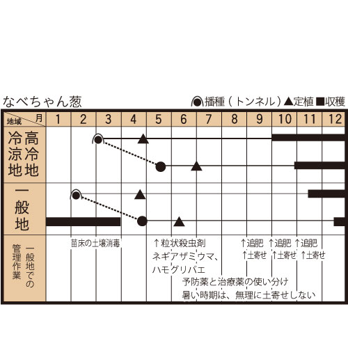 なべちゃん葱の作型カレンダー
