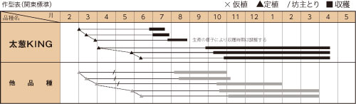 太葱KINGの作型カレンダー