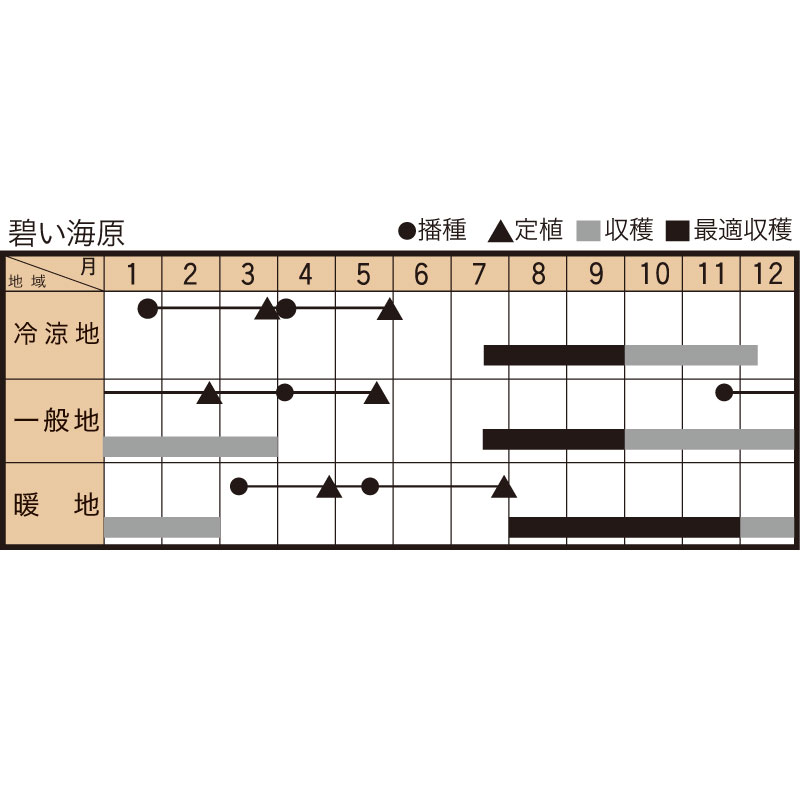 碧い海原の作型カレンダー
