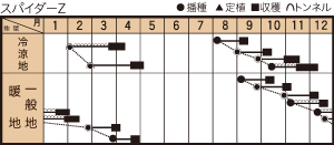 スパイダーＺの作型カレンダー