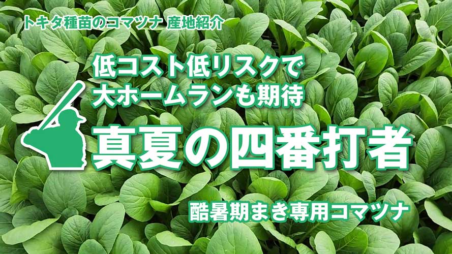 野菜と花の品種開発、種苗メーカートキタ種苗公式サイトのおしらせ一覧ページ