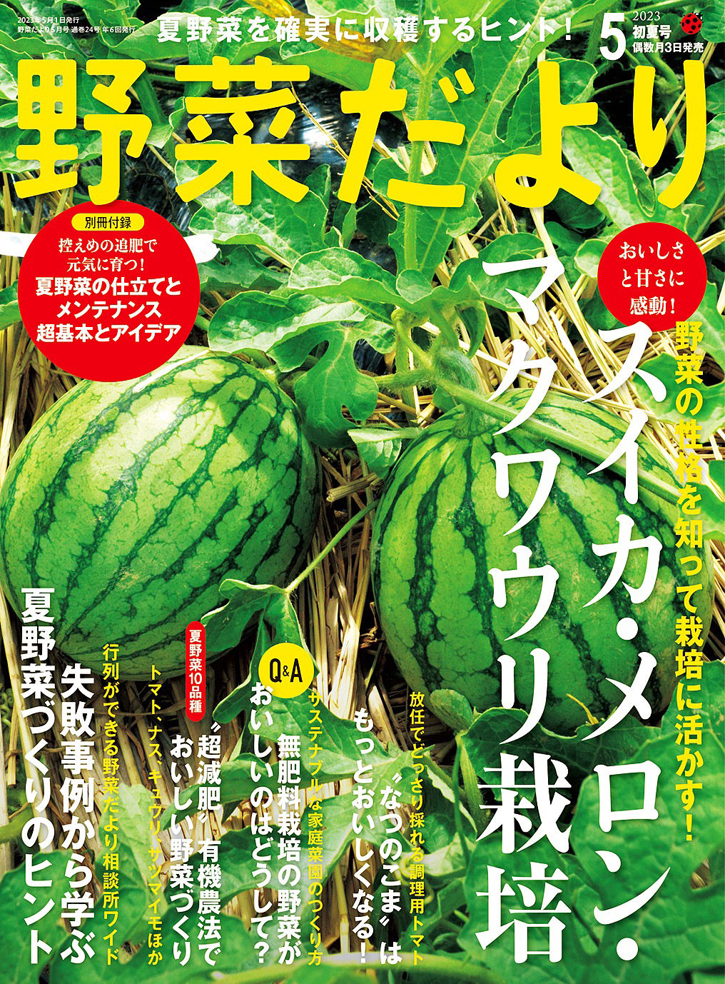 野菜と花の品種開発、種苗メーカートキタ種苗公式サイトのおしらせ一覧ページ