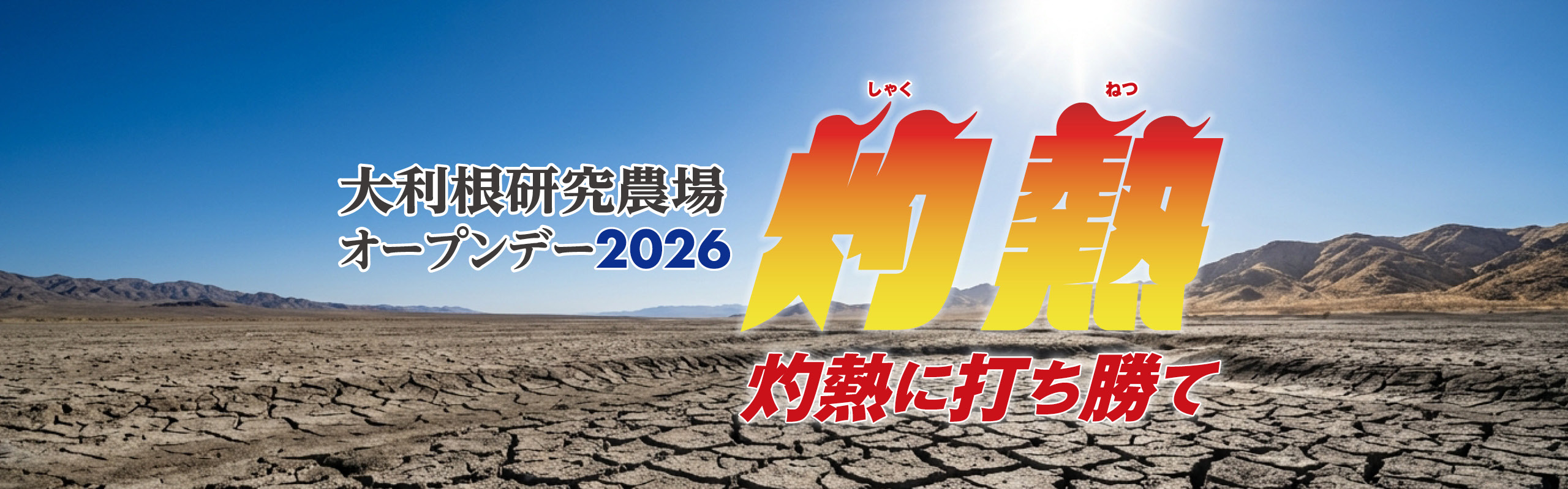 トキタ種苗大利根研究農場オープンデー特設サイト