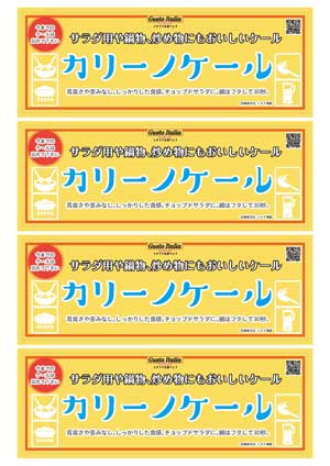 Ｂ６ハーフ　カリーノケール食べ方提案ポップ