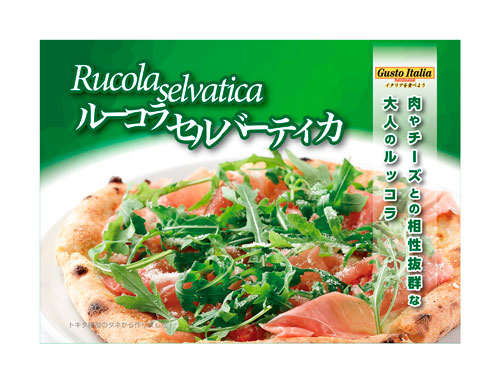 青果販売用ポップ　ルーコラセルバーティカ