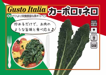 青果販売ポップ　カーボロネロ　イタリア国旗