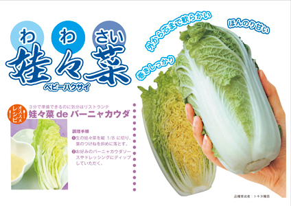 青果販売用娃々菜deバーニャカウダ