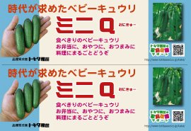 ミニＱポップ