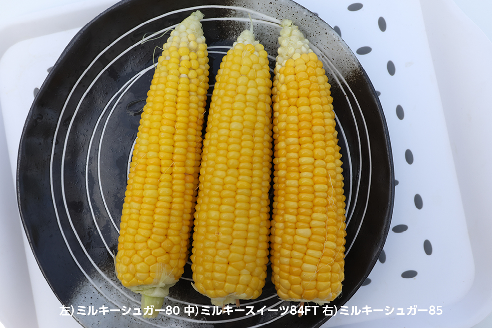 収穫
