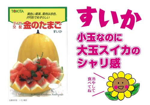 金のたまご青果販売ポップ