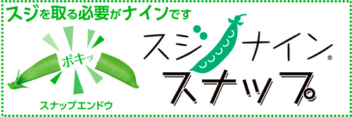 スジナインスナップポップB6ハーフ