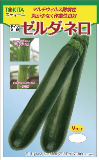 ゼルダ・ネロの果実